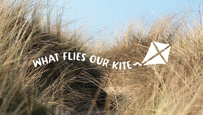 What Flies Our Kite - Sauna, Sea Swims and Summer Reads