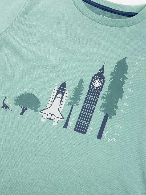 Tall trees t-shirt