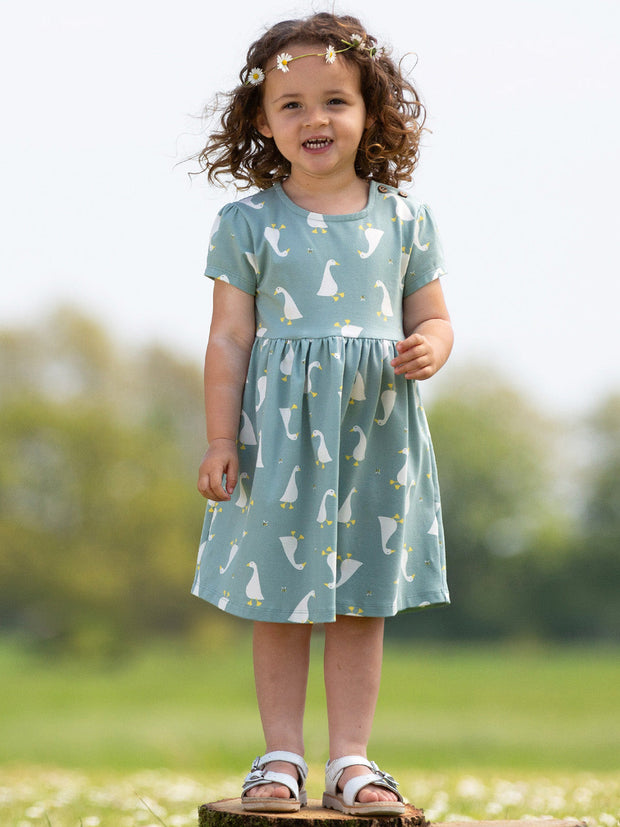 Little goose dress