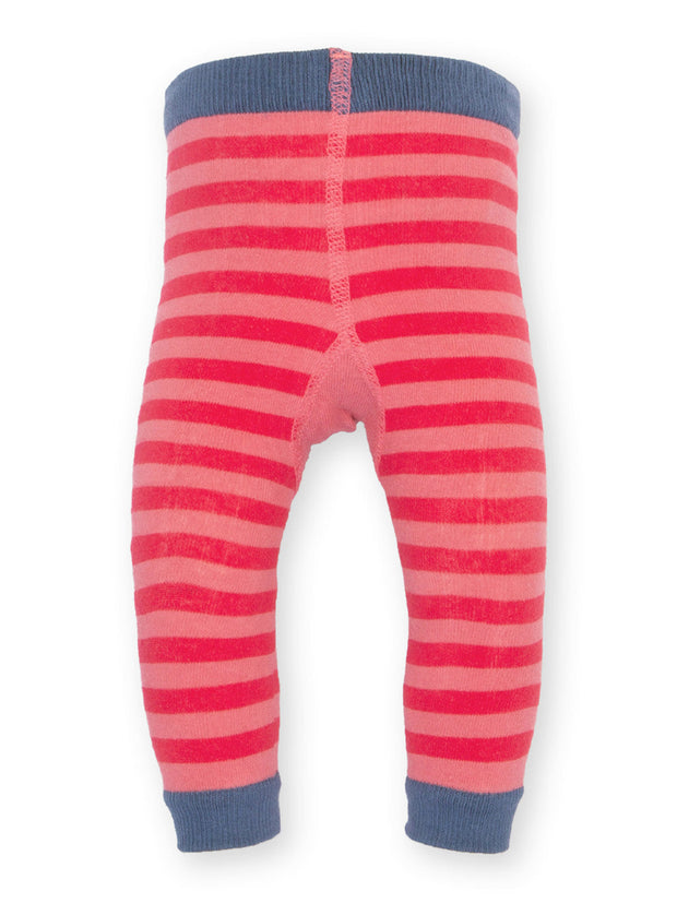 Sweet sparrow knit leggings
