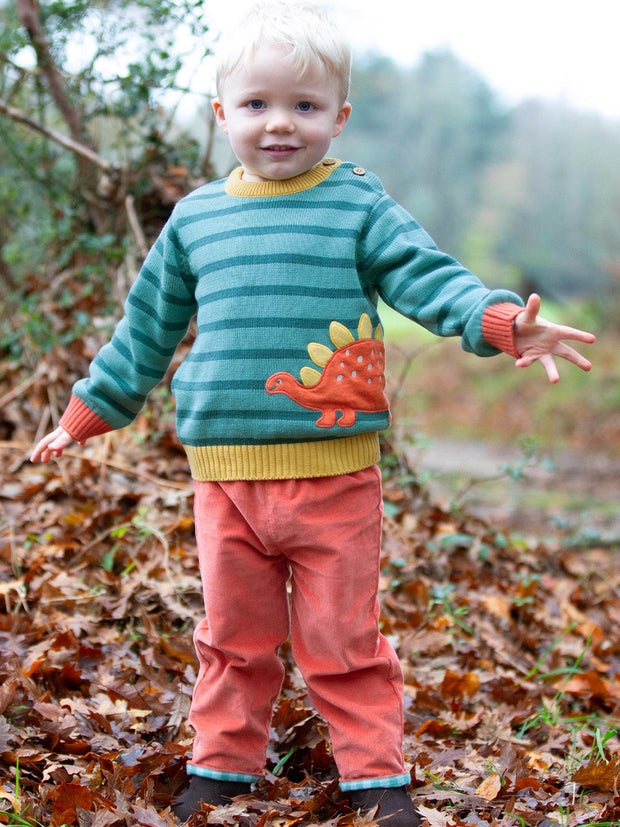 Dinky dino jumper