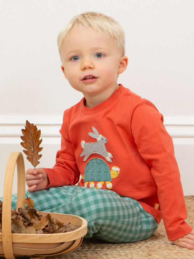 Hare and tortoise t-shirt