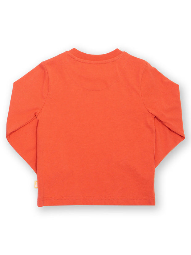 Hare and tortoise t-shirt