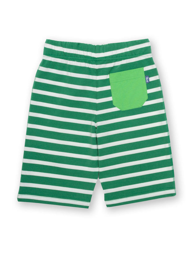 Corfe shorts green