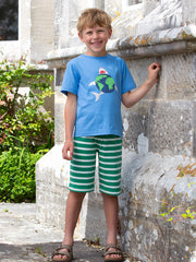 Corfe shorts green