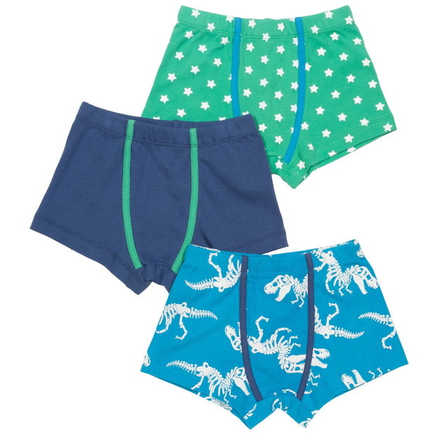 Boy in 3 pack t-rex trunks