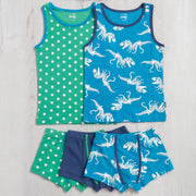 Boy in 3 pack t-rex trunks